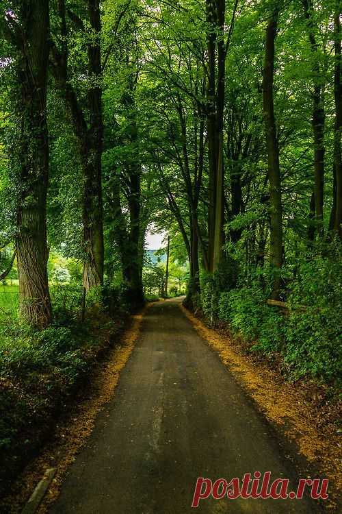 Enchanting Photos Liege, Belgium photo via jaye