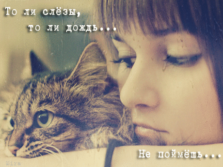 толи слёзы , толи дождь...