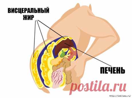 Натуральные детокс-напитки для очищения печени