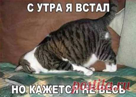 (1) Facebook