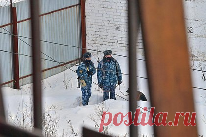 Охранник убеждал воспитанниц детсада делать интимные фотографии за видеоигры. В Севастополе предстанет перед судом 54-летний педофил, обвиняемый в насильственных действиях сексуального характера в отношении малолетних. Злоумышленник работал охранником в детском саду Нахимовского района, там он регулярно домогался двух воспитанниц 6 и 7 лет, которых уговаривал делать интимные фото.