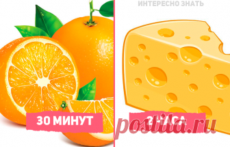 За какое время переваривается разная еда Вы не задумались, почему диетологи рекомендуют употреблять в пищу те или иные продукты в определенный промежуток дня? Почему следящие за своим питанием люди, например, едят мясо на обед, а не ужин? Все дело в том, что для переваривания той или иной пищи требуется определенное время...