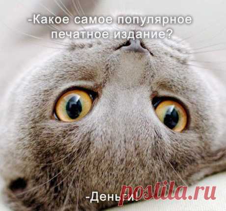 анатолий: Я ГОВОРЮ, ЧТО ДУМАЮ И ДУМАЮ, ЧТО ГОВОРЮ