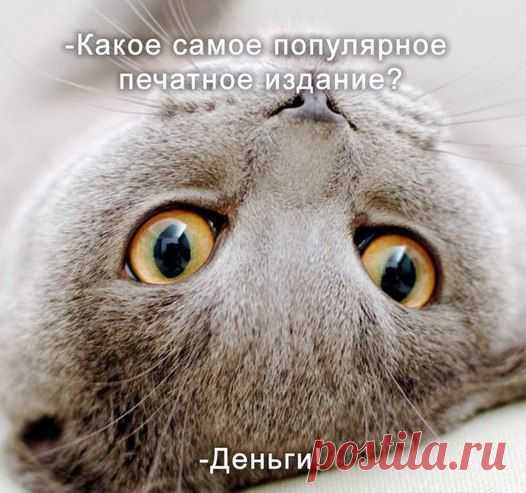 анатолий: Я ГОВОРЮ, ЧТО ДУМАЮ И ДУМАЮ, ЧТО ГОВОРЮ