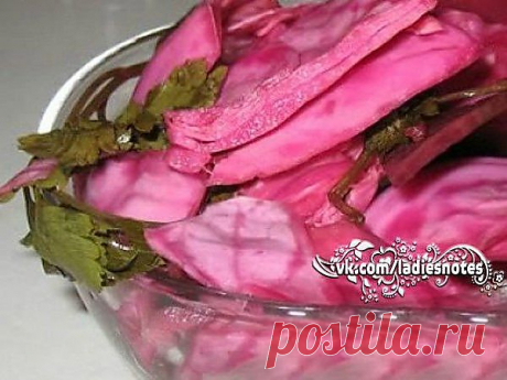 Капуста маринованная по-грузински | заготовки