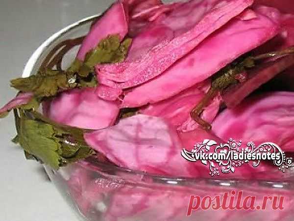 Капуста маринованная по-грузински | заготовки