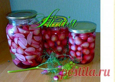 Редис консервированный | БУДЕТ ВКУСНО!