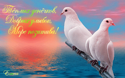 Теплых денечков, добрых улыбок, море позитива! - Анимации с надписями