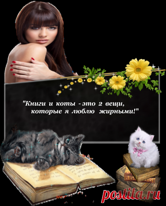 Дневник Evgenia46
"Книги и коты - это  2 вещи, которые я люблю жирными!"