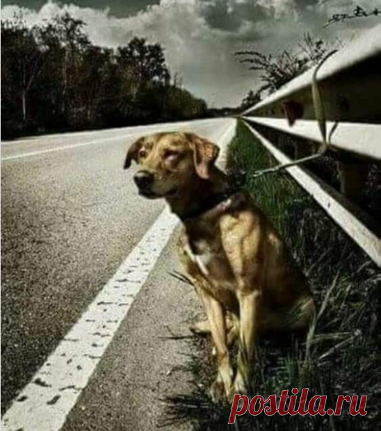 Как вы живёте, однажды предавшие?
Как же вы спите, с кем дружбу водите?
Смотрят на вас ваши ангелы падшие...
Себе оправдания как вы находите?

Что происходит у вас в подсознании?
Чем отмываете души от сажи?
Как вы несёте стыда наказание?
Или про стыд вы не слышала даже?

Чтобы забыть, что предательством мечены.
Чтоб забелить свои грязные стороны.
С ложью, чертями вы были обвенчаны.
И ваши мысли как чёрные вороны.

Как же вы дышите, веру продавшие?
Хочется верить, что вы во...