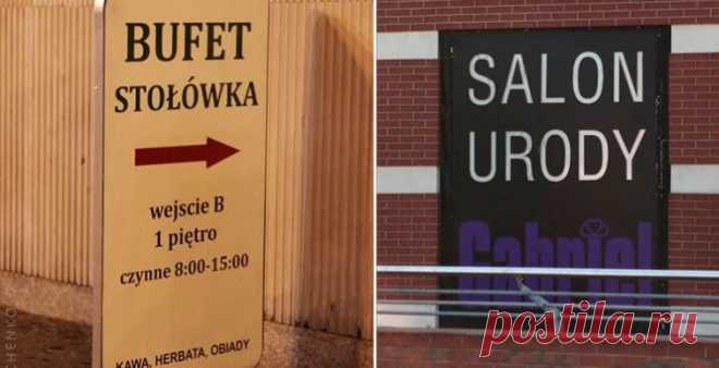 8 национальных особенностей поляков, которые вас удивят