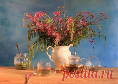 «Копорский» чай — лечебный напиток домашнего приготовления