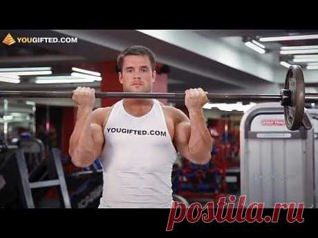 Упражнения  на  бицепс (рук).  комплекс. упражнения. картинки.