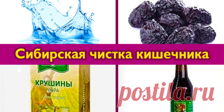 Сибирская чистка кишечника | Полезные советы!