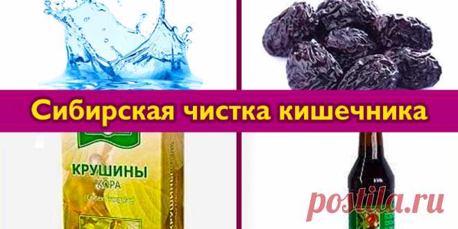 Сибирская чистка кишечника | Полезные советы!