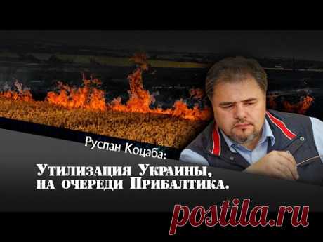 Утилизация Украины на очереди Прибалтика. Руслан Коцаба