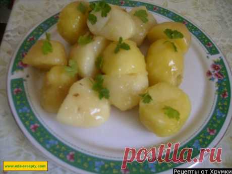 Картофель обжаренный с сахаром по-датски рецепт с фото пошагово - 1000.menu