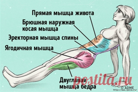 Всего одно упражнение, чтобы сжечь жир и исправить осанку