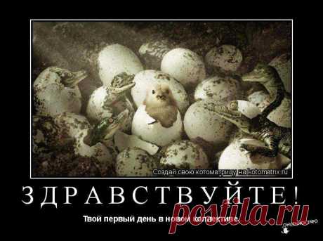 Анекдотики коротенькие, но симпатишные