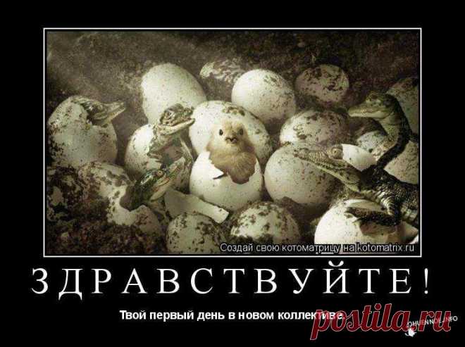 Анекдотики коротенькие, но симпатишные