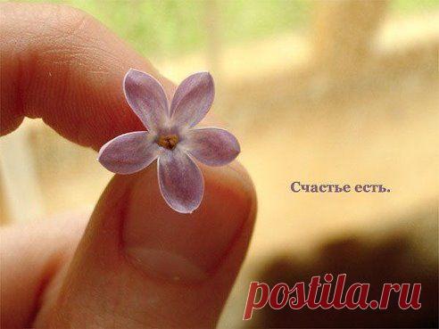 Шанс не бывает единственным в жизни, единственной бывает только сама жизнь!

С ДОБРЫМ УТРОМ!