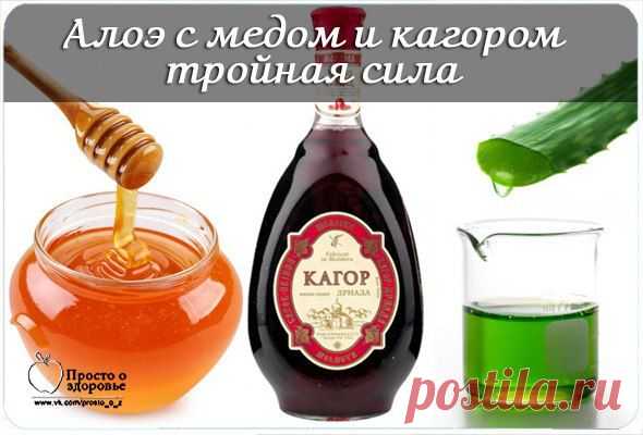 АЛОЭ С МЕДОМ И КАГОРОМ: ТРОЙНАЯ СИЛА