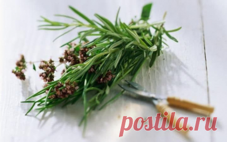 6 продуктов для хорошей работы мозга / Будьте здоровы