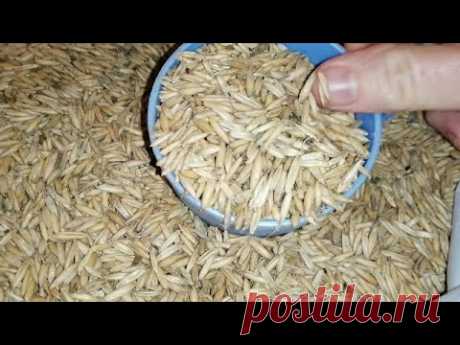 ☝☝ОЧИЩЕНИЕ ОРГАНИЗМА ОВСОМ. ПРИГОТОВЛЕНИЕ ЛЕЧЕБНОГО ОТВАРА