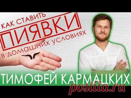 ПИЯВКИ. КАК СТАВИТЬ в домашних условиях? Тимофей Кармацкий