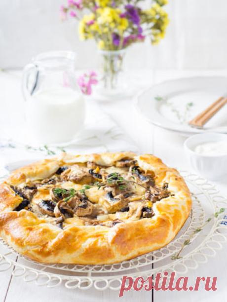 Открытые пироги с грибами, сыром, помидорами: 3 рецепта. Домашние пироги - с грибами, шпинатом, томатами и картофелем.
В сезон грибов не обязательно покупать их в магазине - можно приготовить самостоятельно. Особенно вкусны пироги с лисичками или шампиньонами. Начинка из шпината