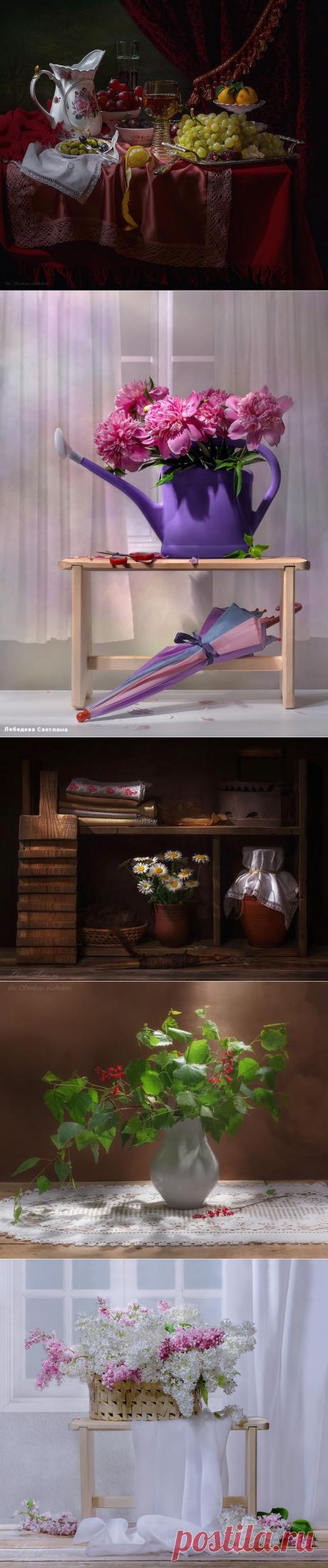 Великолепные натюрморты Светланы Лебедевой.