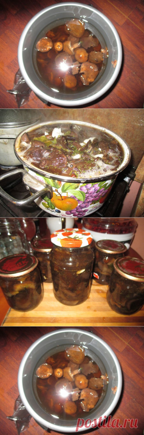 Как я солю грибы