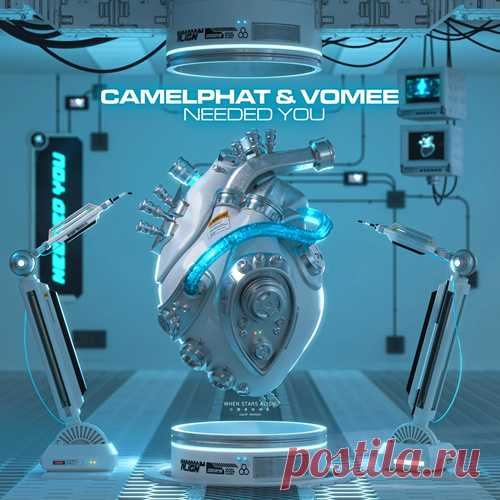 CamelPhat & Vomee – Needed You [8721253959205] Sharing-DB.club