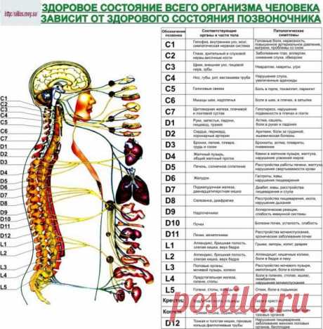 Система дистанционного обучения