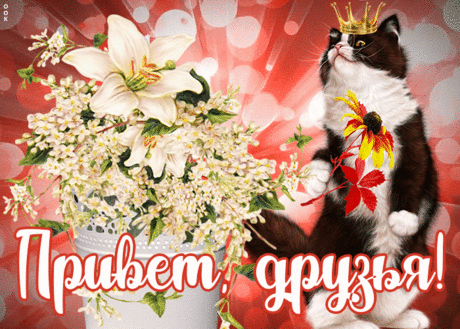 Открытка привет, друзья