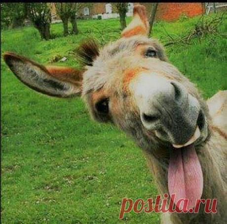 Это оставляет. Притча
Память для нас привычная вещь. Если представить хоть на секундочку, что все человечество потеряло память, что произойдет? Ничего хорошего — это точно! Мы с сожалением смотрим на людей, которые частично или полностью потеряли память, и никому бы не хотелось оказаться на их месте. Поэтому, думаю историю, которую я расскажу, вы встретите, хоть с улыбкой, но […]
Читай дальше на сайте. Жми подробнее ➡