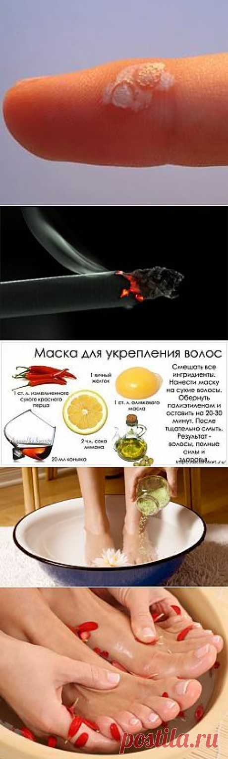для здоровья | Записи в рубрике для здоровья | Дневник DAMOCHKA-GALOCHKA-mechta