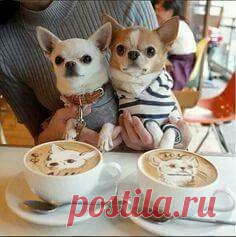 (11) Pinterest • Всемирный каталог идей