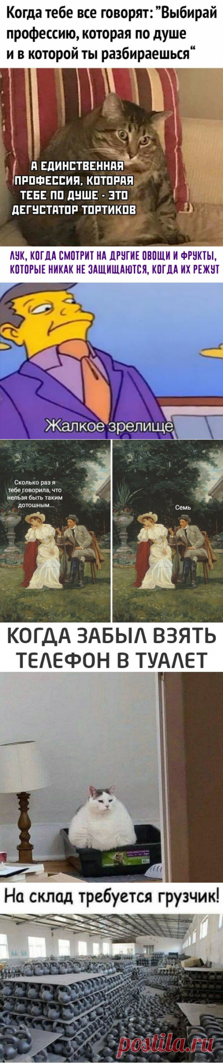 Вагон мемов и приколов 😂 все как вы любите 😉 | Мемный барин | Яндекс Дзен