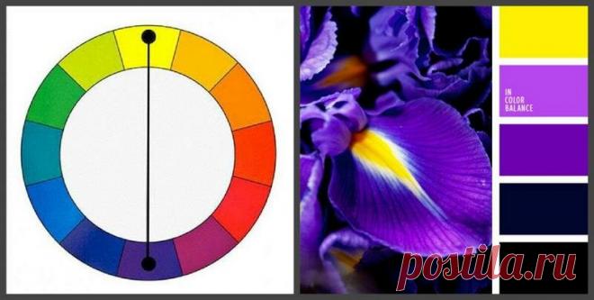 Как вы становитесь жертвой манипуляции... с помощью цвета. Выучи простой принцип сочетания цветов, и не попадайся больше на эту удочку. | Первый вязальный! | Дзен