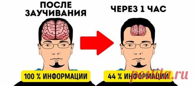12 секретов памяти, чтобы запоминать иностранные слова с первого раза