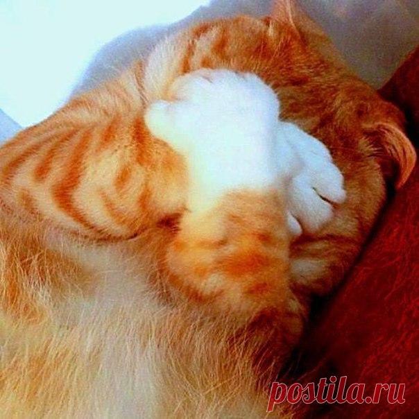 Удачный кадр | Фотографии и фотографы