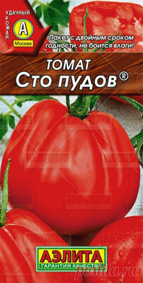 Томат Сто пудов ® купить семена томатов оптом оптом и в розницу от производителя