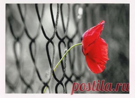 Как убеждения влияют на доходы? Настоящее положение человека является точным отражением его догматов веры. Энтони Роббинс До́гма́т или До́гма — мнение, решение, постановление, в религии — утверждённое высшими религиозными инстанциями положение вероучения, объявляемое непреложной истиной, не подлежащей критике (сомнению). Википедия. Соглашусь со всеми