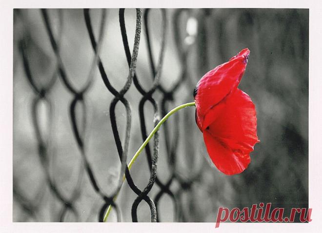 Как убеждения влияют на доходы? Настоящее положение человека является точным отражением его догматов веры. Энтони Роббинс До́гма́т или До́гма — мнение, решение, постановление, в религии — утверждённое высшими религиозными инстанциями положение вероучения, объявляемое непреложной истиной, не подлежащей критике (сомнению). Википедия. Соглашусь со всеми