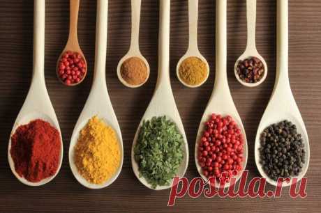 Экскурсионно-познавательный пост по специям и пряностям | Четыре вкуса