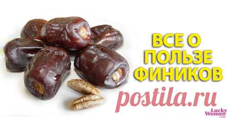 Финики — кладезь витаминов, почему стоит их добавить в свой рацион