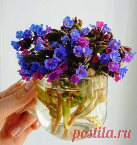 КАКОЙ СЕГОДНЯ ПРАЗДНИК? 17 Апреля 2020 г. – Пятница • Великая пятница (Страстная пятница) • Международный день кофе (День эспрессо) • День ветеранов органов внутренних дел и внутренних войск РФ10 лет • День гармошечного зова • Международный день «Ford Mustang»56 лет • Всемирный день винограда «Мальбек» (World Malbec Day) • День памяти преподобного Иосифа Песнописца • Всемирный день гемофилии (World Haemophilia Day)31 год • День поэзии хокку (Haiku Poetry Day) • День бла-бла-бла (Blah Blah Blah…