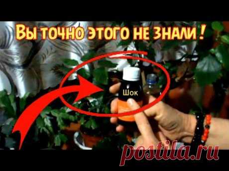 ВЫ ТОЧНО ЭТОГО НЕ ЗНАЛИ!!! САМАЯ ЛУЧШАЯ ПОДКОРМКА ДЛЯ ЦВЕТУЩИХ КОМНАТНЫХ РАСТЕНИЙ!!!