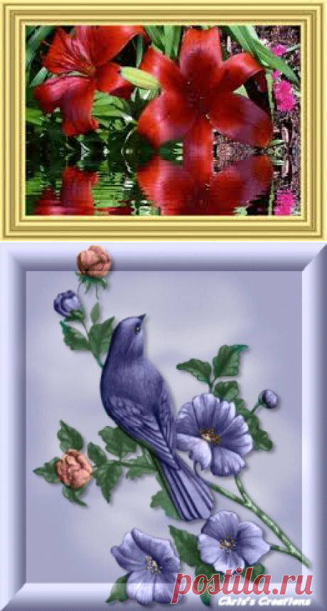 www.gifzona.com Анимационные открытки - Поиск в Google